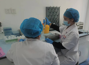自治区疾控中心开展伊犁州血清碘检测实验室技术帮扶工作