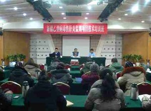 自治区乙型肝炎病例试点监测项目正式启动