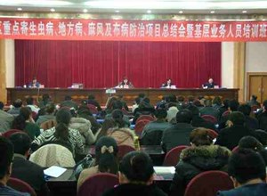 自治区重点寄生虫病、地方病、麻风及布病防治项目总结会在乌鲁木齐市顺利举办